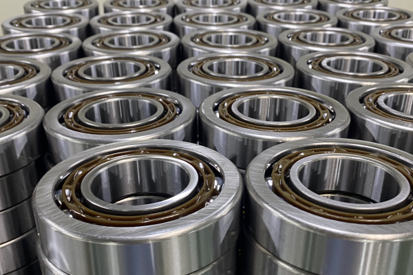 Reducer bearings