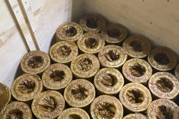 Spindle Bearing